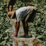 pexels setengah lima sore 1061582751 30733228