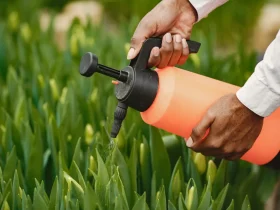 Diferença entre Defensivos Agrícolas e Agrotóxicos: O Que Você Precisa Saber 30 Agrotoxico defensivo