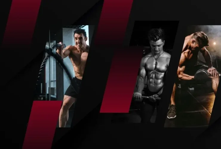 Descubra a Verdade por Trás da Meia-Vida do Stanozolol em Comprimidos 36 Stanozolol